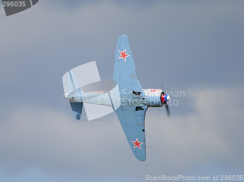Image of Yak 11