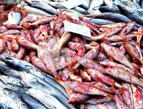 Image of Fish market