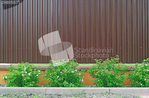 Image of Brown metal fence and ornamental shrubs in front of him as the b