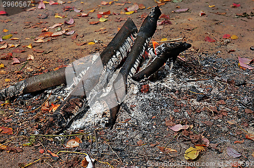 Image of Smoldering fire on a background of autumn of leaves