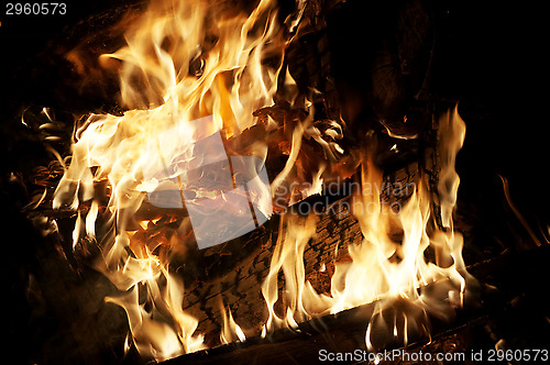 Image of Campfire close-up