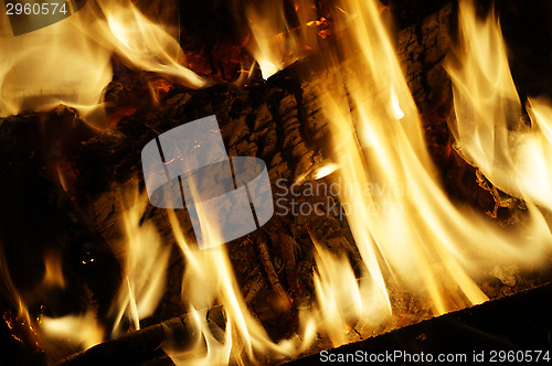 Image of Tongues of flame fire close-up