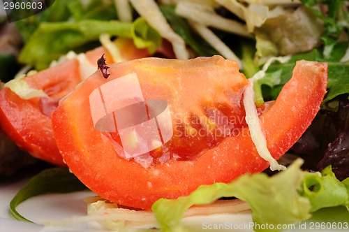 Image of Macro closeup of tomato slice