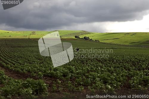 Image of Beautiful landscape in Ifrane