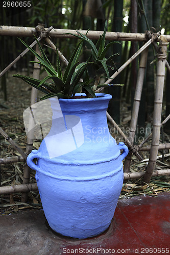 Image of Jardin Majorelle