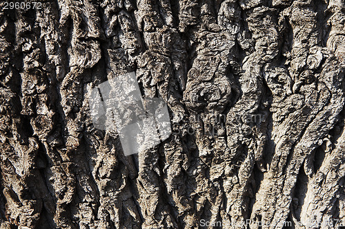 Image of Wood structure