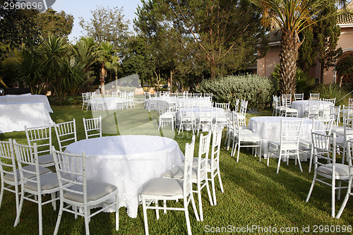 Image of Celebration in the garden