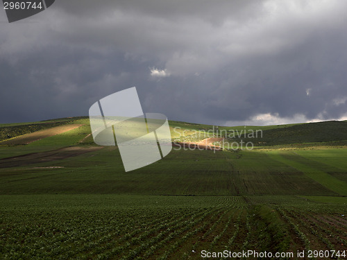 Image of Beautiful landscape in Ifrane