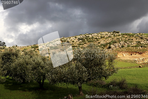 Image of Beautiful landscape in Ifrane