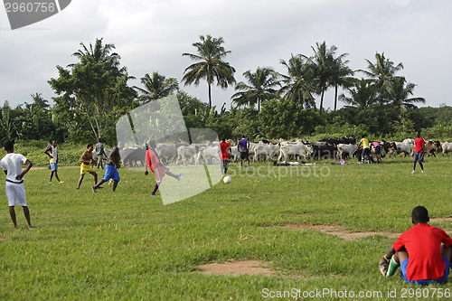 Image of African soccer team during training