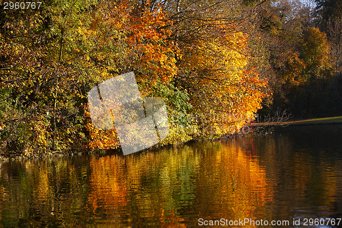 Image of Autumn forest