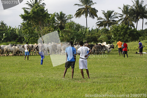 Image of African soccer team during training