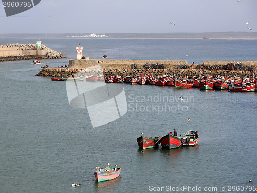 Image of Gulls on fisher boats