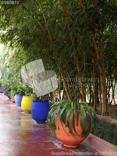 Image of Jardin Majorelle