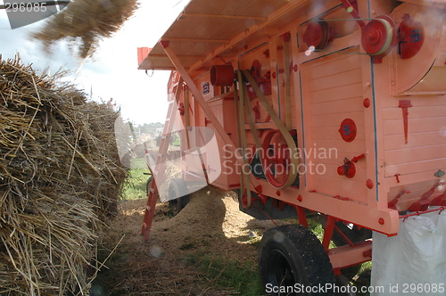 Image of Corn threshing