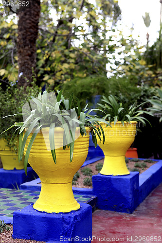 Image of Jardin Majorelle