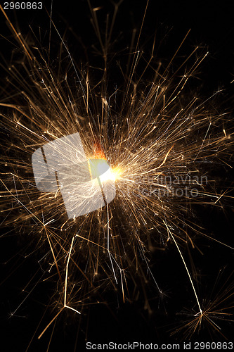 Image of Burning sparkler on black background