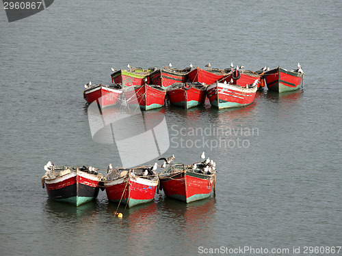 Image of Gulls on fisher boats