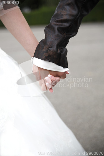 Image of Hands of a bride and groom