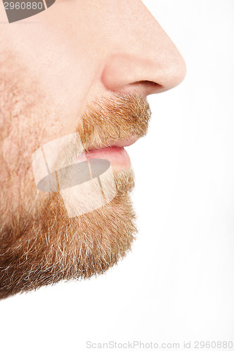 Image of Male face profile with beard