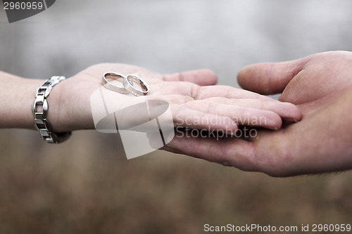 Image of Hands of a bride and groom