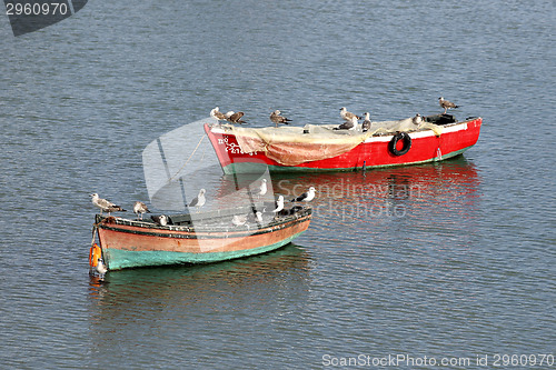 Image of Port in El Jadida, Morocco