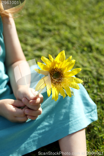 Image of Small girl holds beautiful sunflower in her hands