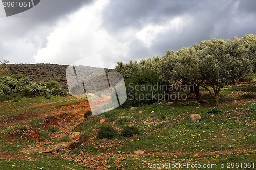 Image of Beautiful landscape in Ifrane