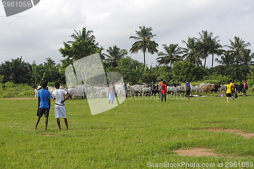 Image of African soccer team during training