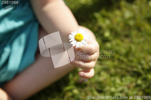 Image of Small girl holds beautiful daisy in her hand