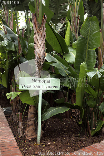 Image of Jardin Majorelle