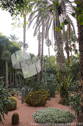 Image of Jardin Majorelle