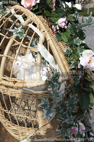 Image of White wedding doves