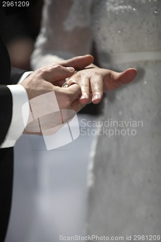 Image of Hands of a bride and groom