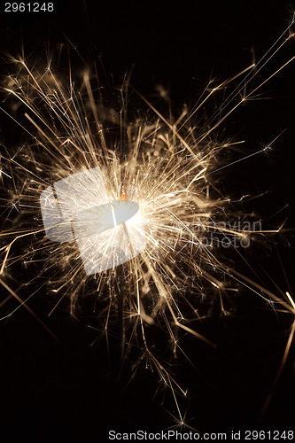 Image of Burning sparkler on black background