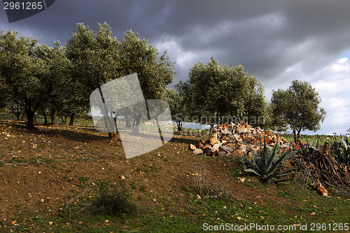 Image of Beautiful landscape in Ifrane