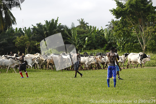 Image of African soccer team during training