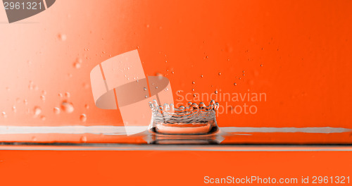 Image of Water drops
