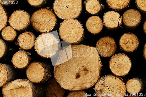Image of Logging