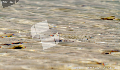 Image of The sea