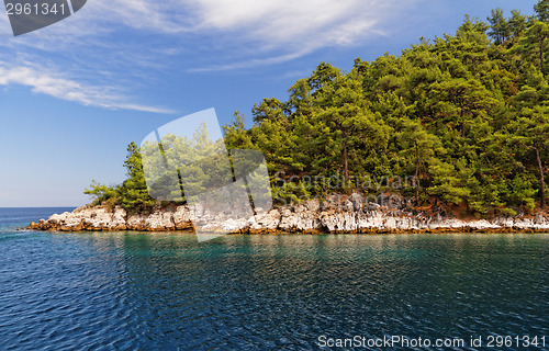 Image of Green island