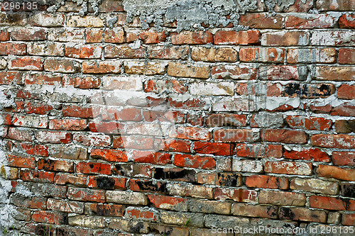 Image of Grunge bricks