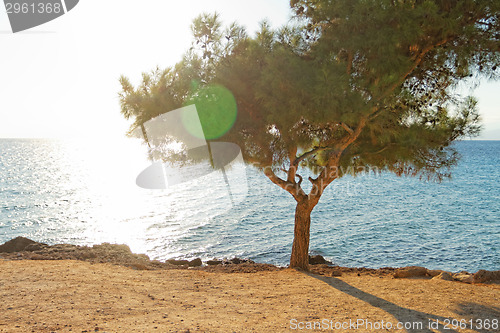 Image of Coastline
