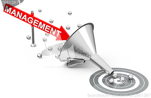 Image of management goals