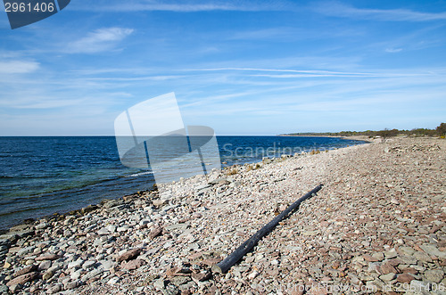 Image of Stony coastline with driftwood