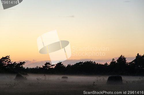 Image of Rocks at misty summer evening