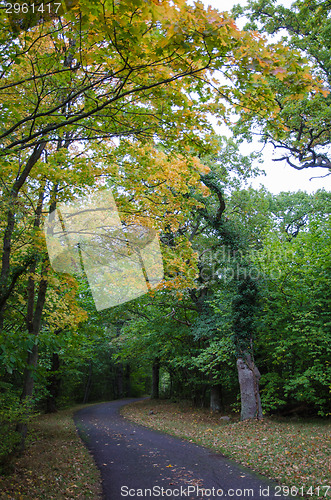 Image of Pathway view at fall