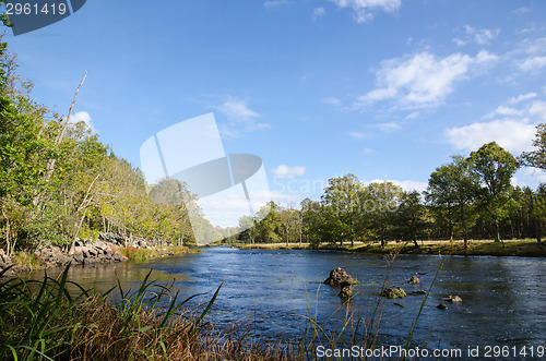 Image of Late summer view at a small river