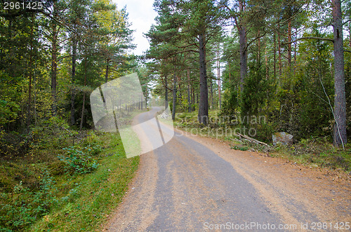 Image of Country road at autumn