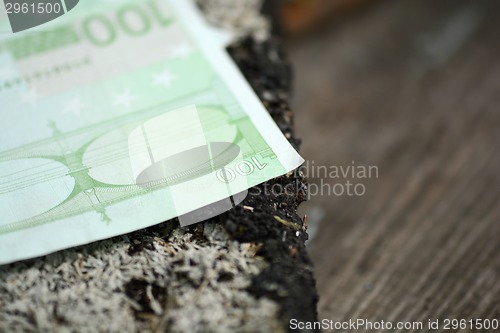 Image of New euro banknotes